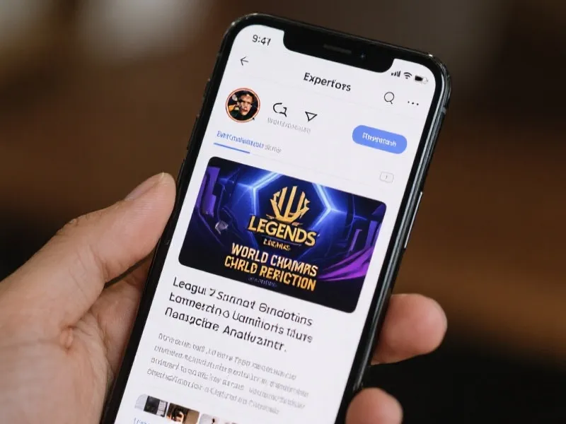 专家独家预测与解析